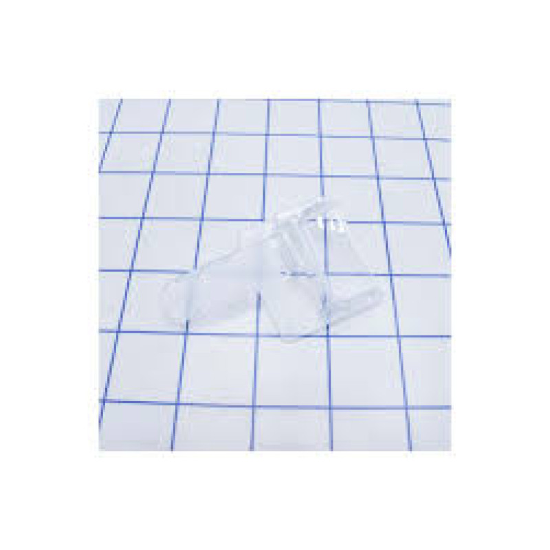 Stikliņš SF-TS 55R, Festool